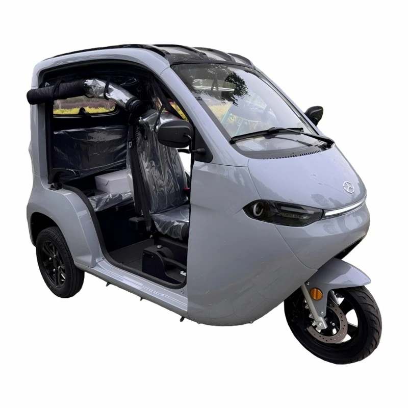 3-Wheel Lithium Battery Passenger Vehicle high quality